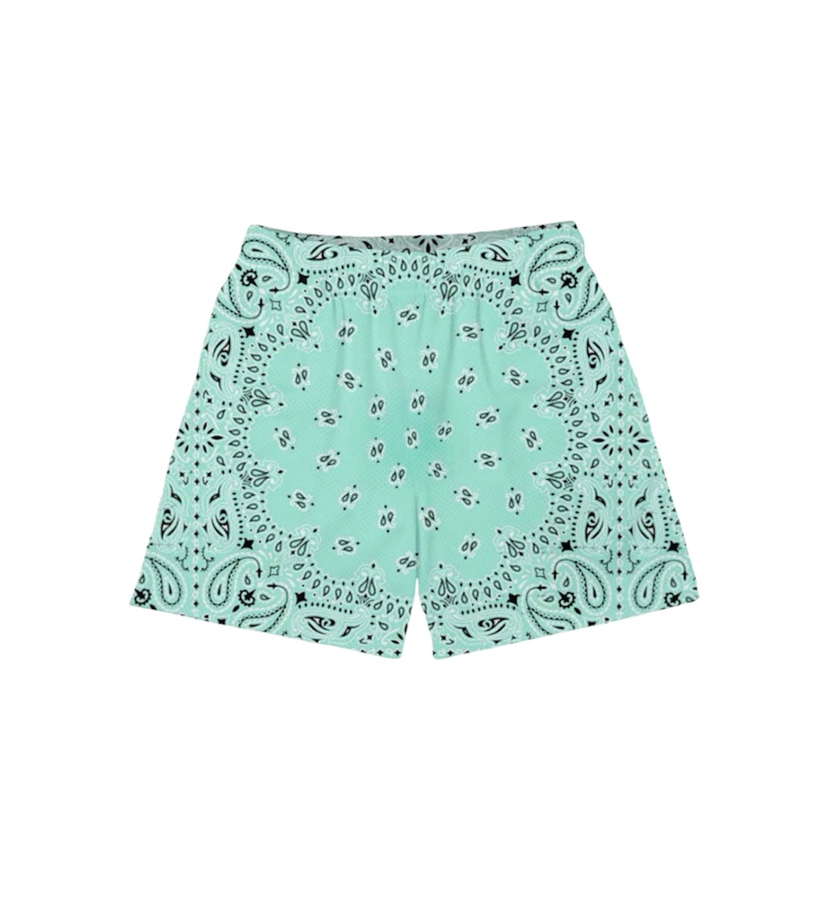 TIFFANY PAISLEY MESH SHORTS